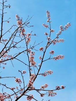  北京三月春光暖；代表齐心议国是，闭幕盛会传信心。 新闻