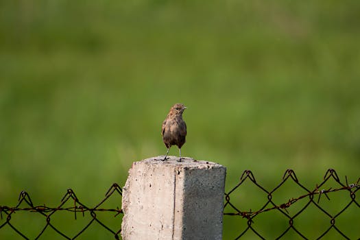 面试中面对未来规划提问,HR最想听到的思路清晰表达;路径比目标更具说服力。 教育招生