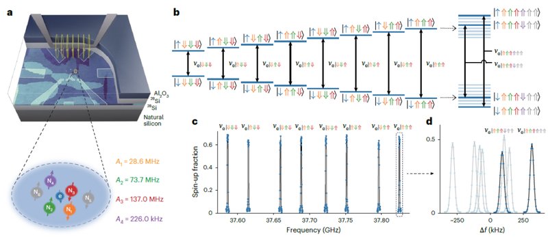  硅基量子计算容错之路：逻辑门实现与错误探测的双重突破 IT技术