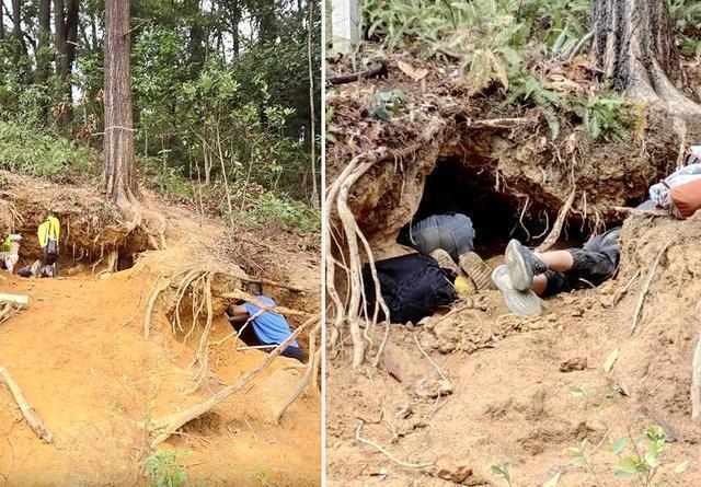  【深度复盘】“淘晶热”背后的生态警示：一次网红活动如何演变成山体浩劫 新闻