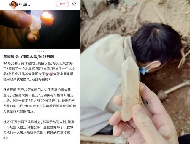  【深度复盘】“淘晶热”背后的生态警示：一次网红活动如何演变成山体浩劫 新闻