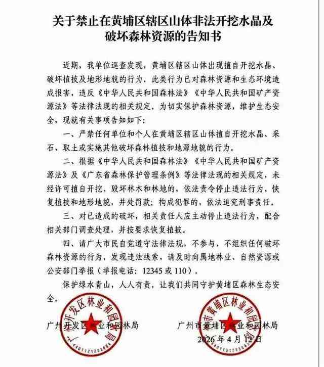  【深度复盘】“淘晶热”背后的生态警示：一次网红活动如何演变成山体浩劫 新闻