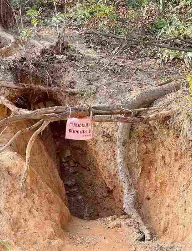  【深度复盘】“淘晶热”背后的生态警示：一次网红活动如何演变成山体浩劫 新闻