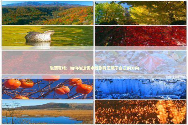 隐藏真相:如何在迷雾中找到真正属于自己的方向 隐藏真相:如何在迷雾中找到真正属于自己的方向 新闻