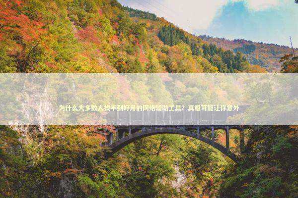 为什么大多数人找不到好用的网络辅助工具？真相可能让你意外 IT技术