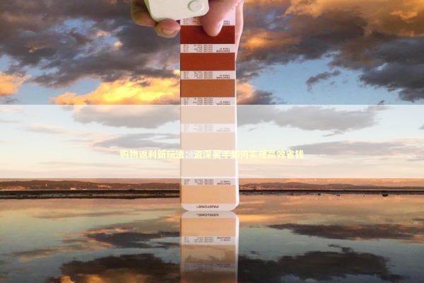 购物返利新玩法：资深买手如何实现高效省钱 新闻