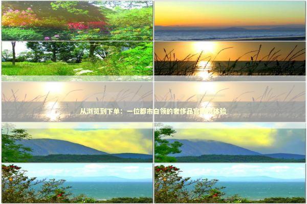 从浏览到下单：一位都市白领的奢侈品官网初体验