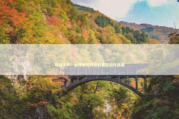 暗战无声：全球情报网络的幕后运作真相 新闻